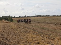IMG_7089-013